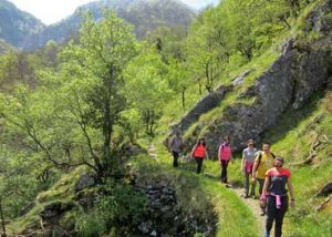Baztan Turismo - Actividades tur&iacute;sticas
